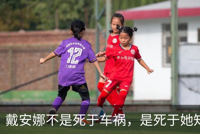 戴安娜不是死于车祸，是死于她知道得太多