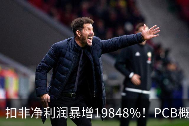 扣非净利润暴增19848%！PCB概念股，前十大股东新增神秘自然人